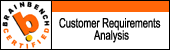 Brainbench Customer Requirements Analysis
