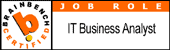 Brainbench IT Business Analyst (Job Role)
